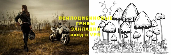 спайс Верея