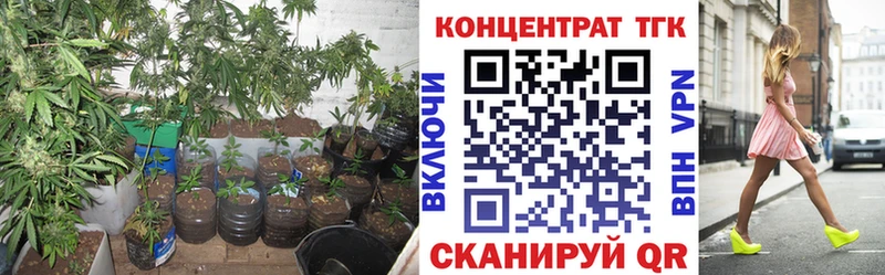 где купить наркоту  Кимры  ТГК вейп с тгк 
