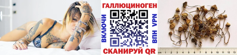 Псилоцибиновые грибы MAGIC MUSHROOMS  Кимры 